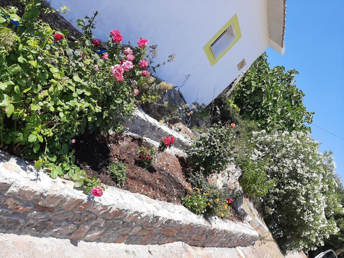 Lemon Garden 1 Villa Karidi Buitenkant foto